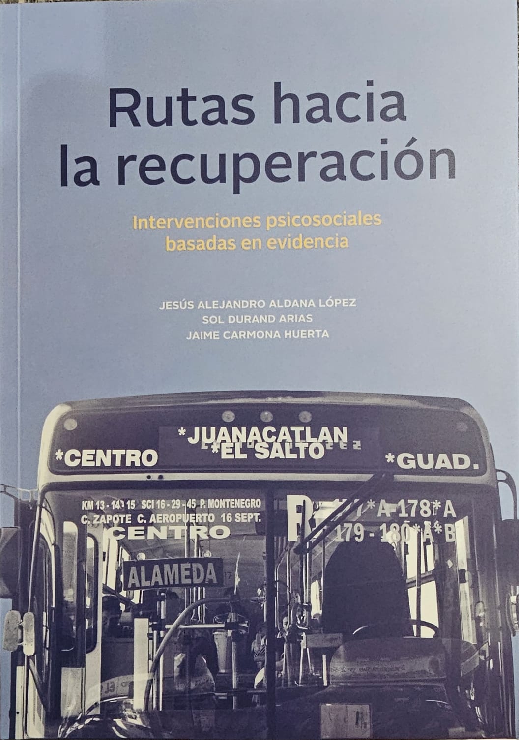Rutas a la recuperación. Guía de intervenciones psicosociales basadas en evidencia
